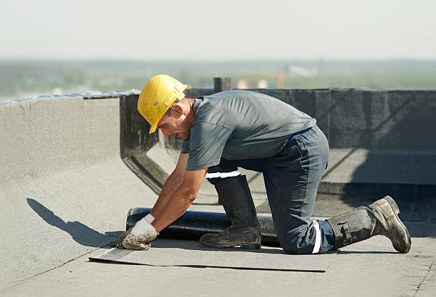 Best Specialized Insulation Services in Brooksi, DE