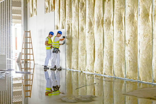 Best Spray Foam Insulation in Brooksi, DE